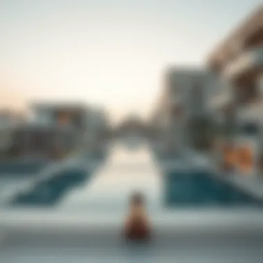 Magnificent Exploring Rental Opportunities in Abu Hail: A Comprehensive Guide