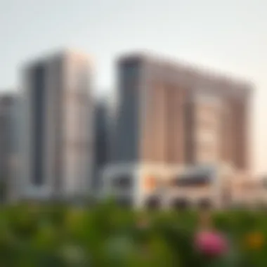 Magnificent Real Estate Dynamics Near Hospitals in Dubai