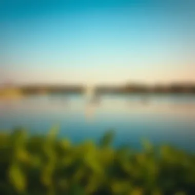 Lake at Al Reem Park The serene lake at Al Reem Park with visitors engaging in leisure activities