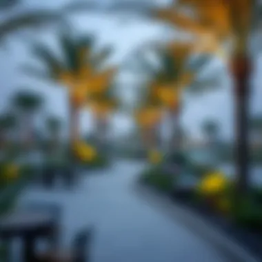 Sustainable Design Features in Al Reem Park Sustainable design elements incorporated in Al Reem Park's landscaping