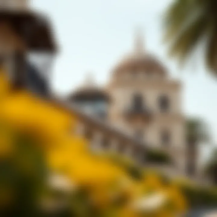 Cultural landmarks and community features of منطقة مزيرع