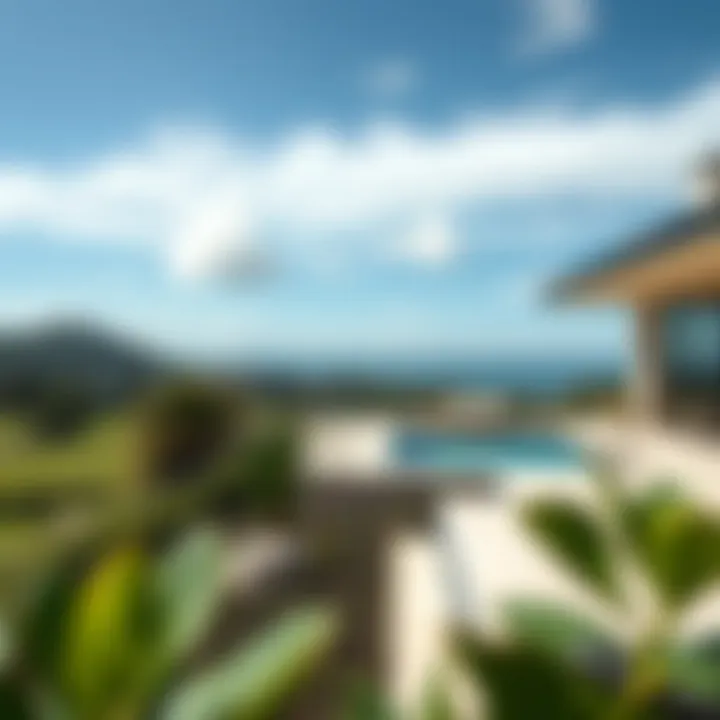 Notable Samana Golf Views: A Comprehensive Exploration
