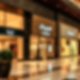 Storefronts showcasing luxury brands