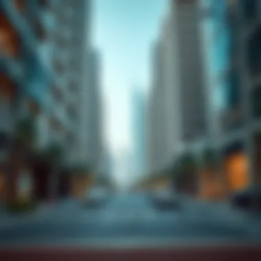 Understanding the Monthly Cost of Living in Dubai Summary Understanding the Monthly Cost of Living in Dubai Summary
